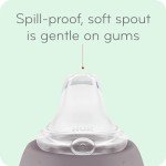 NUK Active Sippy Cup, 10 oz, 2 Pack