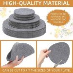 LITLANDSTAR 144-Pack Felt Plate Dividers for China