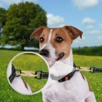 HANTAQ 6PCS Anti-Theft Zipper Puller Kit