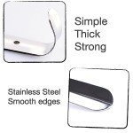 Long Handled Shoe Horn for Seniors, Silver