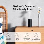Airversa Waterless Diffuser for Essential Oil Nebulizer Battery Operated Mini Scent Air Machine Aromatherapy Atomizing Diffuser 1/2/3H/Continous Mode 3 Mist Level for Home Room Cars Office AN6 Black