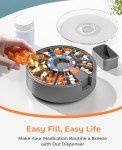 Large 14-Day Pill Dispenser and Organizer (Gray)