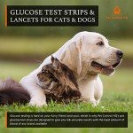 Pet Control HQ Blood Sugar Test Strips for Pets