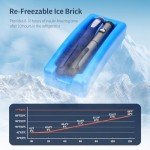 Portable Insulin Cooler Case with Ice Brick (Black)