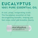 Eucalyptus Essential Oil Inhaler for Stress Relief