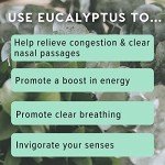 Eucalyptus Essential Oil Inhaler for Stress Relief