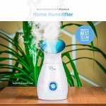 Large 3-in-1 Nano Ionic Facial Steamer