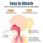 Portable Handheld Nebulizer with Aerosol Mask