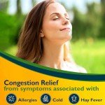 Benzedrex Nasal Decongestant Inhaler - 1 Count