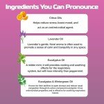 Menthol Nasal Inhaler Stick Vapor Burst Set