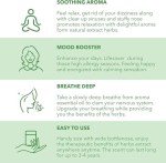 Traditional Thai Herbal Inhaler - Pack of 3