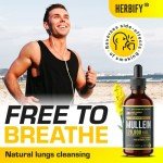 HERBIFY Mullein Drops - Lung Cleanse - Leaf Extract - Powerful Mullein for Immune Support,Detox & Respiratory Support - Made in USA - Herbal Supplements - 4 Oz