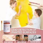 Lead Test Kit with 60 Swabs - Fast Results
