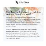 Methylation Genes Test & Wellness Analysis Kit