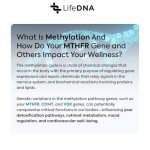Methylation Genes Test & Wellness Analysis Kit