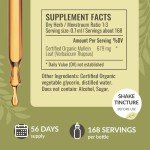 HERBAMAMA Mullein Drops for Lungs - Mullein Leaf Extract for Lung Detox - Vegan Respiratory Lung Health Support Supplement - Alcohol & Sugar-Free, 56-Day Supply