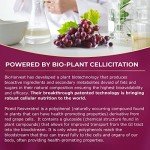 Vinia 12-Hour Heart Health Resveratrol Supplement