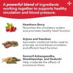 Healthy Circulation & Blood Pressure Support, 120 Capsules