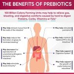 Probiotics for Women 100 Billion CFU + Prebiotics