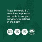 Trace Minerals-B12 for Bone and Immune Support - 90 Tablets