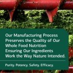 Trace Minerals-B12 for Bone and Immune Support - 90 Tablets