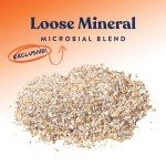 Goat Mineral Supplement by Manna Pro, 8 lb