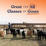 Goat Mineral Supplement by Manna Pro, 8 lb