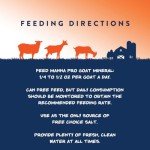 Goat Mineral Supplement by Manna Pro, 8 lb