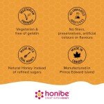 Honibe Adult Multivitamin Gummies - 70 Chewable Vitamins