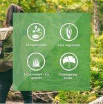 Health Greens+ Multivitamin Superfood Powder - Mixed Fruit