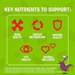 Flintstones Chewable Multivitamins with Iron for Kids