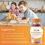 NutraChamps Kids Gummy Vitamins - Sugar Free Pack