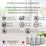 One-a-Day Vegan Multivitamin with B12 & 26 Ingredients