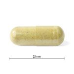 Adult Men’s Multivitamin by PROGRESSIVE, 120 Count