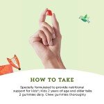 Mama Bear Organic Kids Multivitamin Gummies - 60 Count