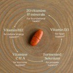 New Chapter Men's Multivitamin 50+ with Probiotics - 72ct