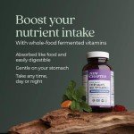 New Chapter Men's Multivitamin 50+ with Probiotics - 72ct