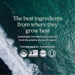 Organic Plant Calcium Supplement with Vitamin K2 & D3