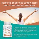 MapleLife Folic Acid & B12 - Energy Support Tablets