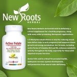 Active Folic Acid Supplement with B6 & B12 – 60 Capsules