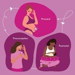 First Response Prenatal Gummy Vitamins, 90 Count