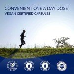 Euro-Ferrous Polysaccharide 150mg - 30 Vegan Capsules