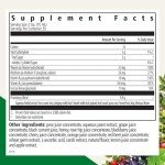 FLORADIX Iron and Herbs Liquid Supplement 8.5 oz