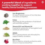 Blood Nourish-R Iron Supplement for Anemia & Fatigue