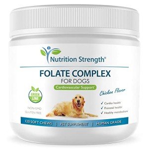 Folate Chews for Dogs: Cardiovascular & Prenatal Support