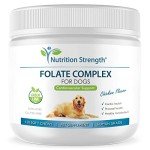 Folate Chews for Dogs: Cardiovascular & Prenatal Support