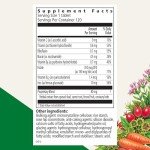 Floradix Iron Tablets - Energy Support Supplement