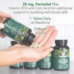 PlantFusion Vegan Iron Supplements with Folate & B12