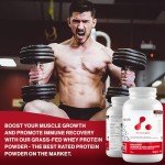 Grass Fed Whey Protein Powder - Chocolate 1.8kg