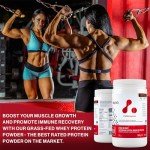 Grass Fed Whey Protein Powder - Chocolate 900g